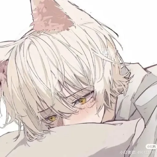 Nico